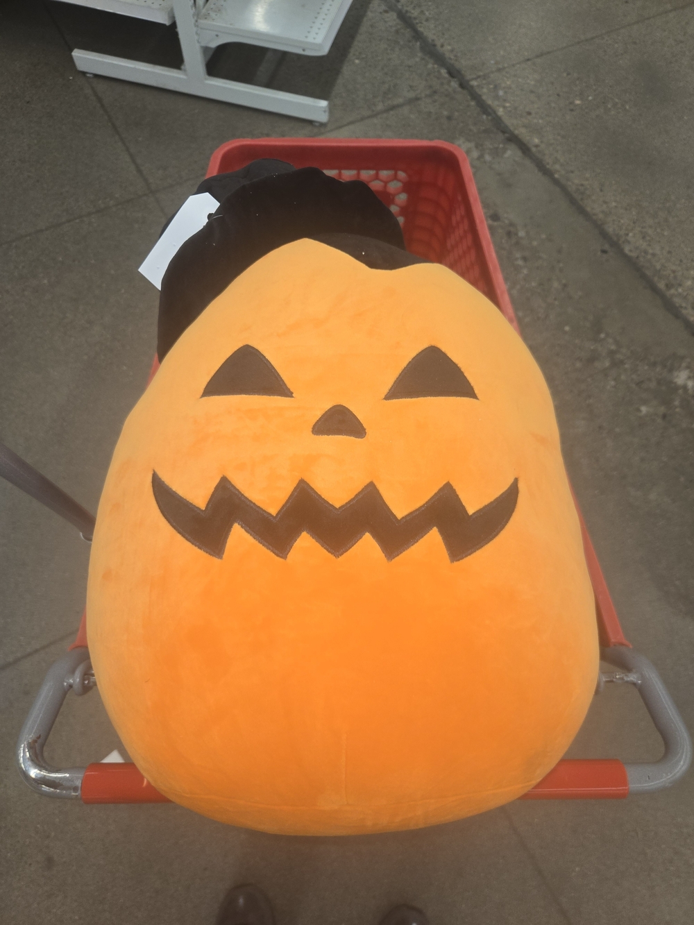 Medium Size Pumkin Squishmallows